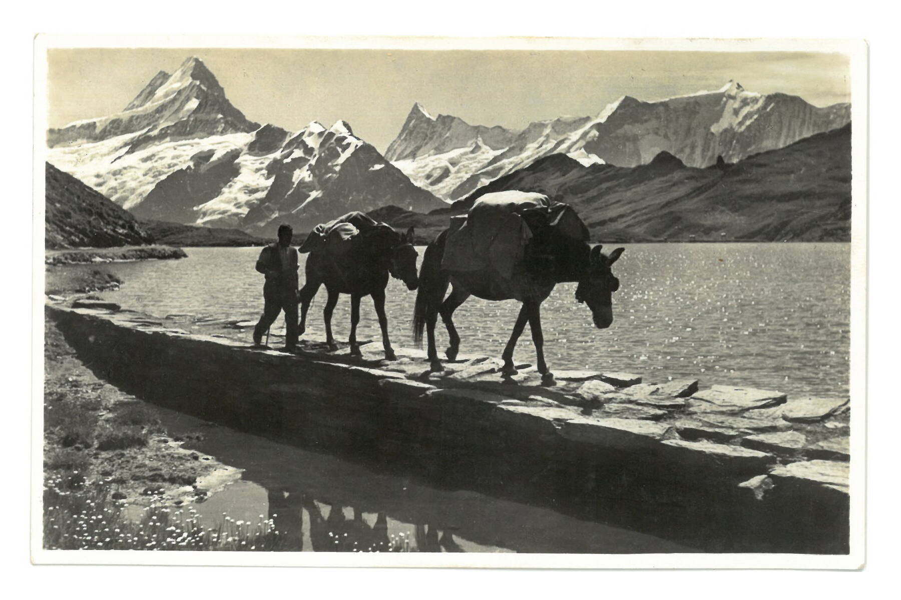 Berghotel Faulhorn Grindelwald Zoom: Berghotel Faulhorn Grindelwald