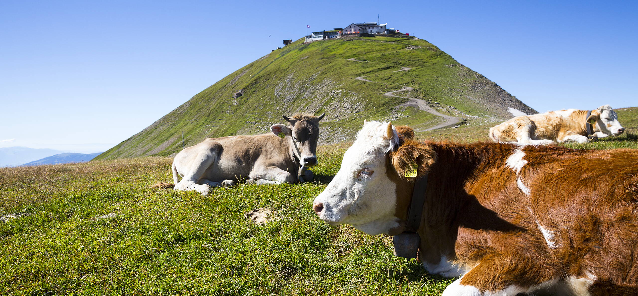 Berghotel Faulhorn Grindelwald
